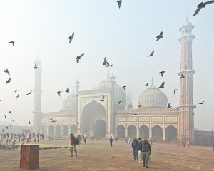 Mezquita Dheli