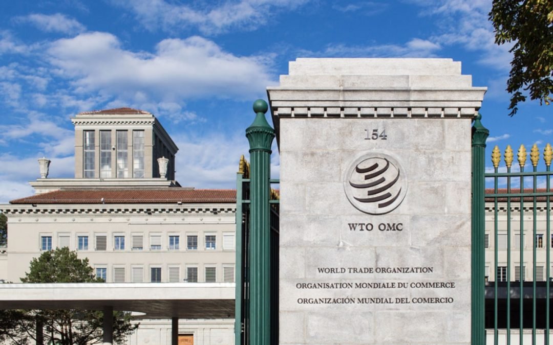 La OMC en «un minuto»
