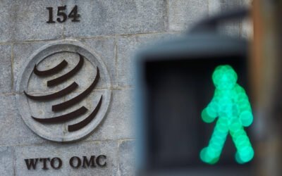 Se busca: nuevo Director General de la OMC