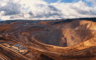 La política exterior argentina en la transición energética global